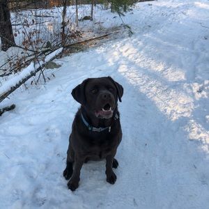 Meet your Posher, Emma